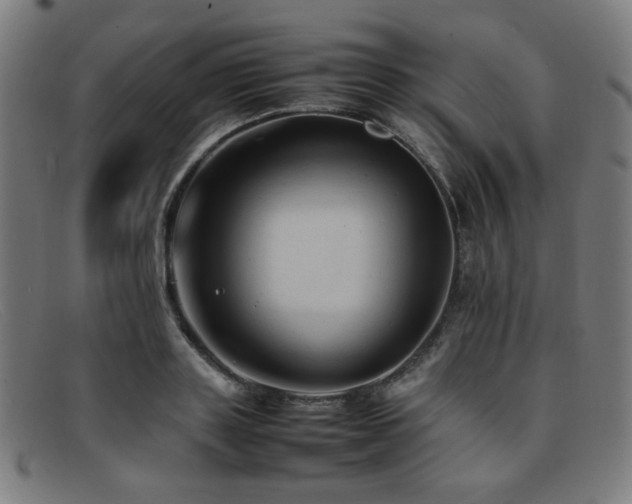 X0000092050843200709121211