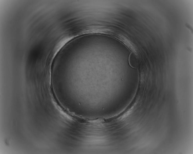 X0000092050844200709121211