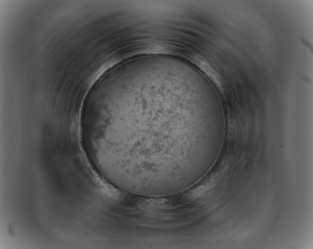 X0000092050845200709121211