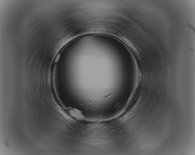 X0000092050846200709121211