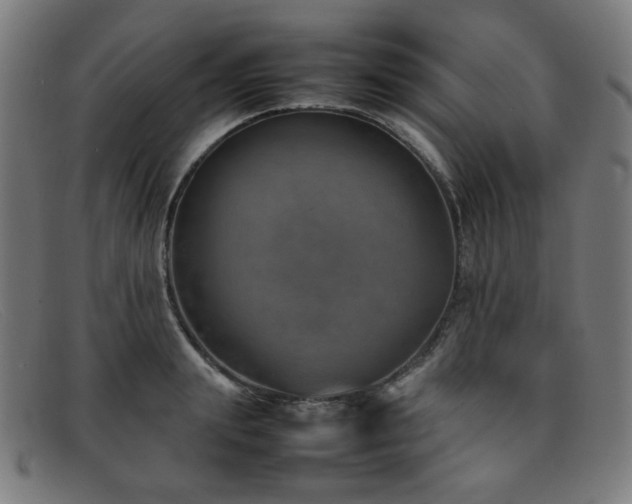 X0000092050847200709121211