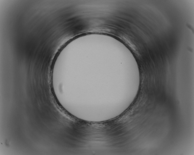 X0000092050848200709121211