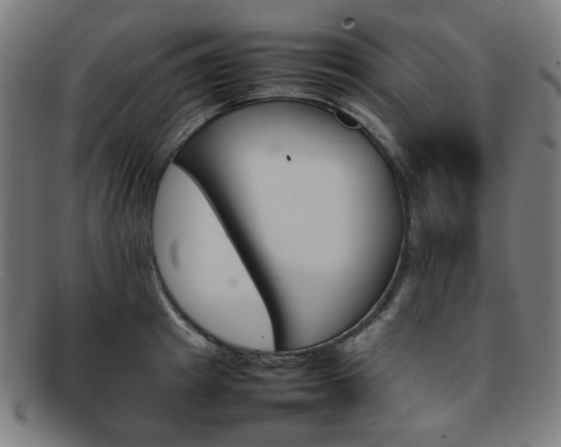 X0000092050849200709121211