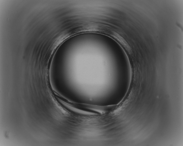 X0000092050850200709121211