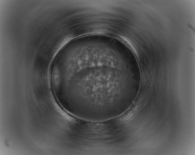 X0000092050851200709121211