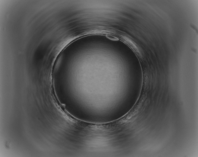 X0000092050852200709121211