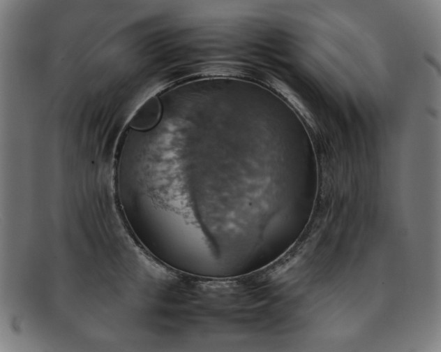 X0000092050853200709121211