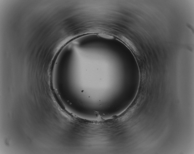 X0000092050854200709121211