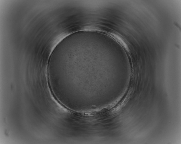 X0000092050855200709121211