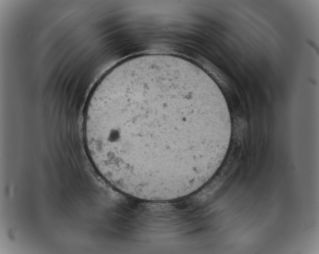 X0000092050856200709121211