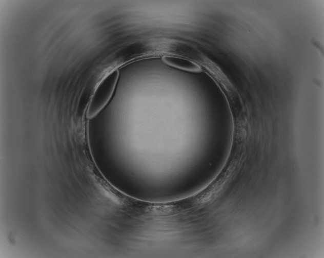 X0000092050858200709121211