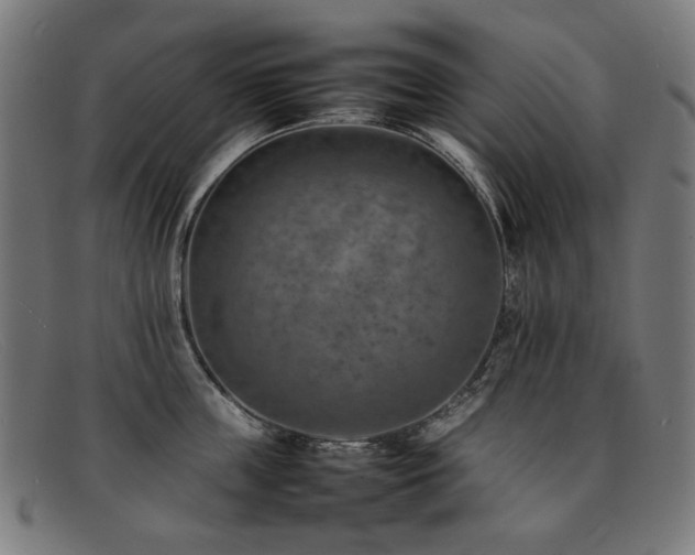 X0000092050859200709121211