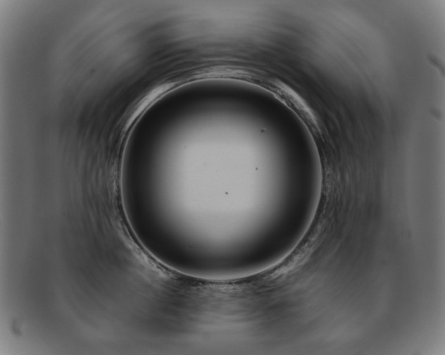 X0000092050860200709121211