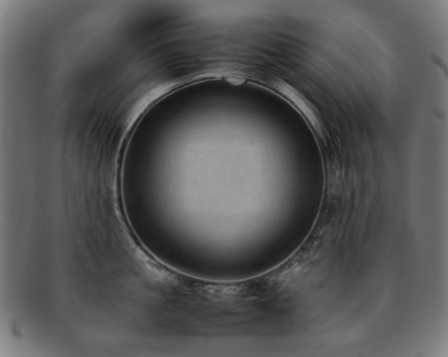 X0000092050861200709121211