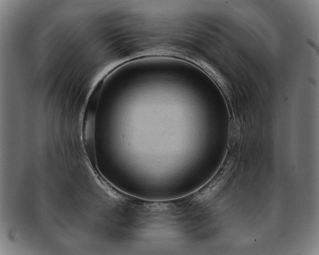 X0000092050862200709121211