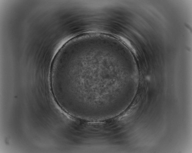 X0000092050863200709121211