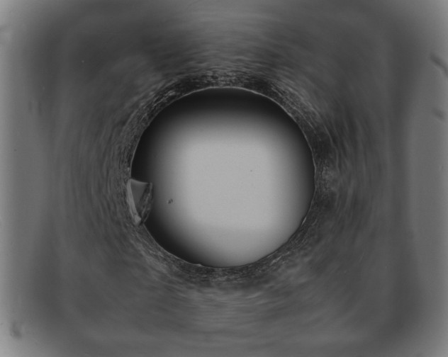 X0000092050865200709121211