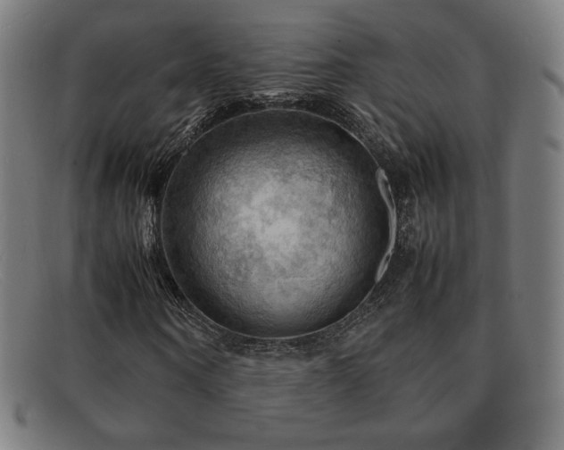 X0000092050866200709121211