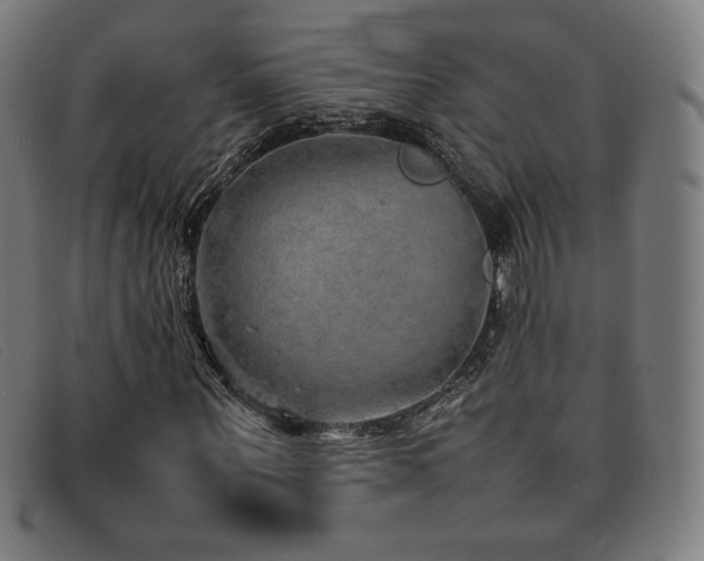 X0000092050867200709121211