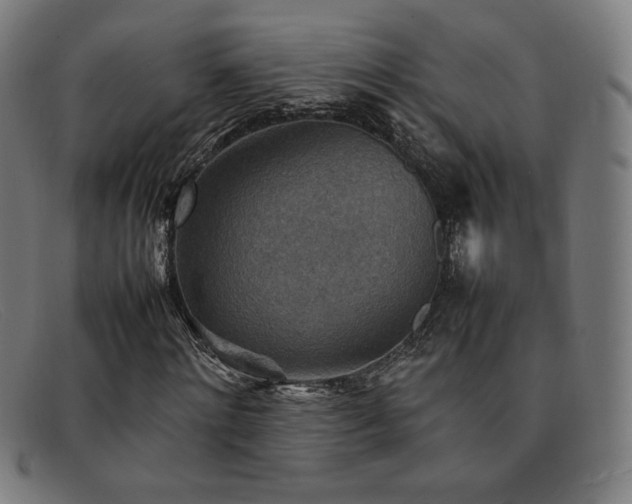 X0000092050868200709121211