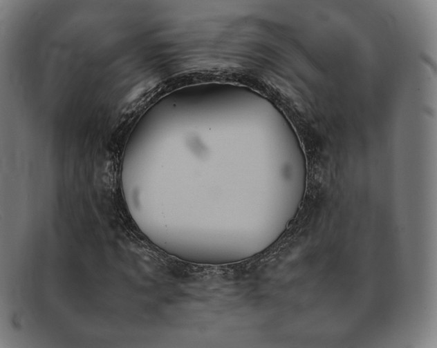 X0000092050869200709121210