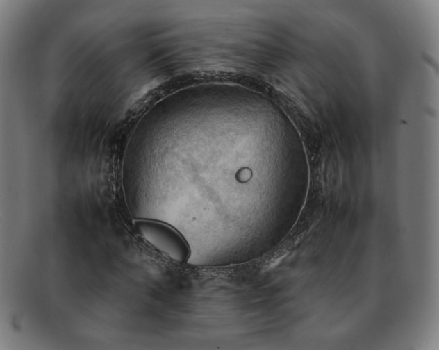 X0000092050870200709121210