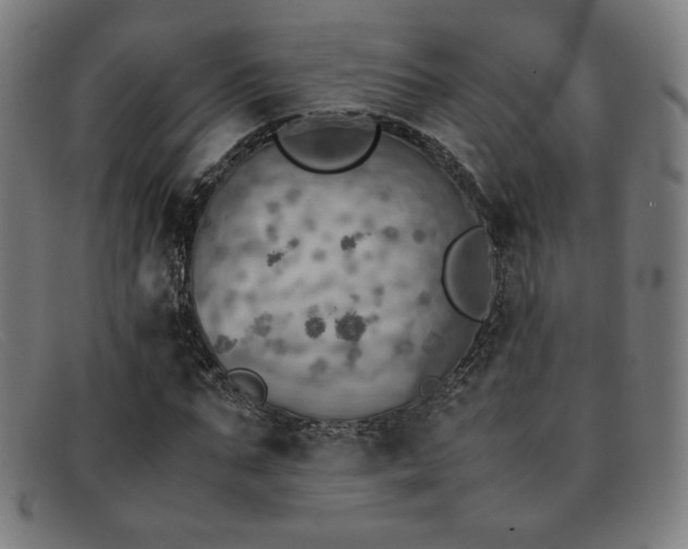 X0000092050871200709121210