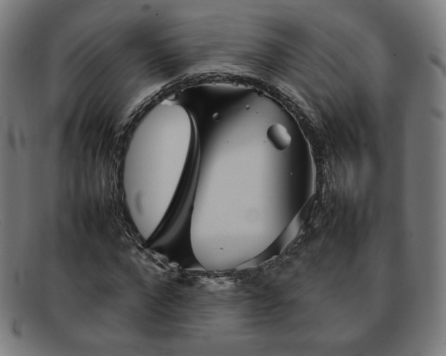 X0000092050872200709121210