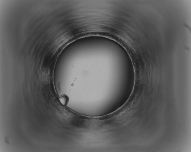 X0000092050873200709121210