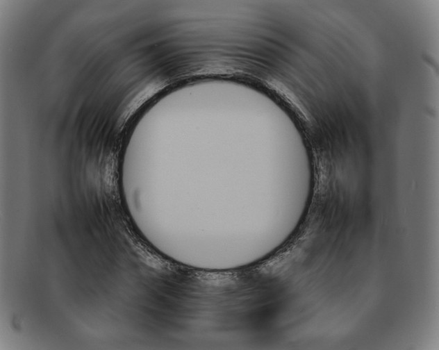 X0000092050874200709121210