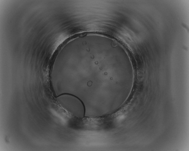 X0000092050875200709121210