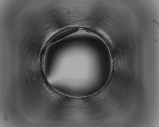 X0000092050876200709121210