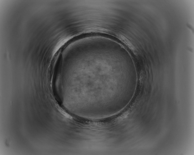 X0000092050877200709121210