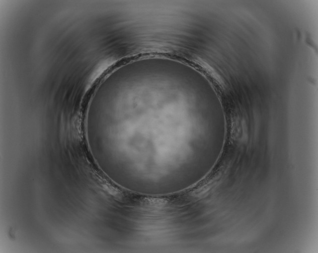 X0000092050878200709121210