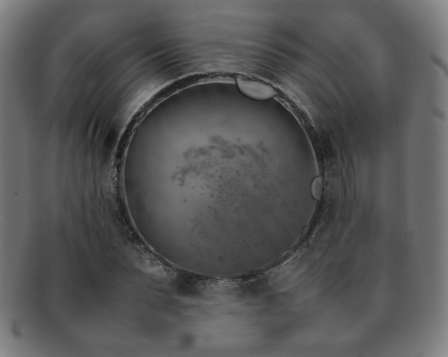 X0000092050879200709121210