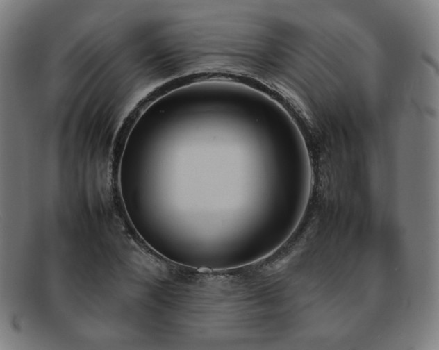 X0000092050880200709121210