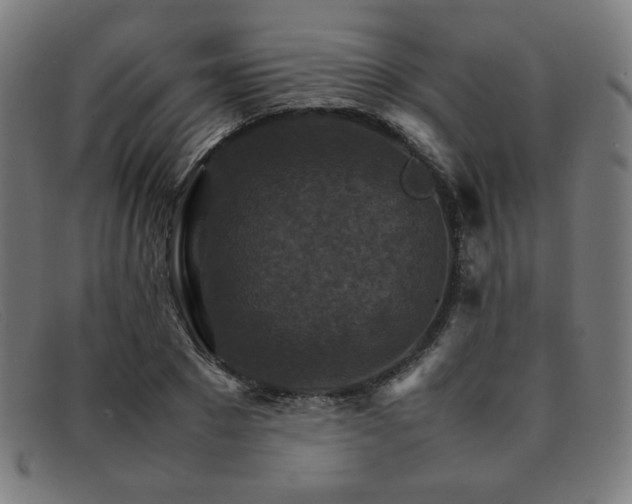 X0000092050881200709121210