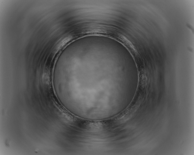 X0000092050882200709121210