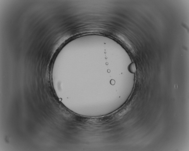 X0000092050883200709121210