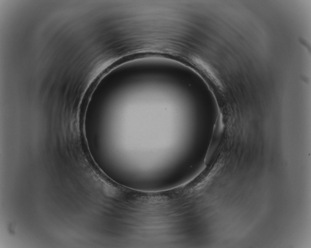 X0000092050884200709121210