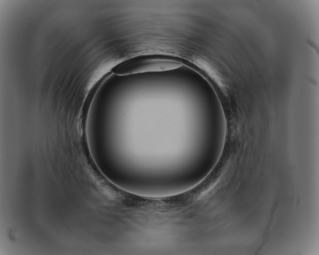 X0000092050885200709121210