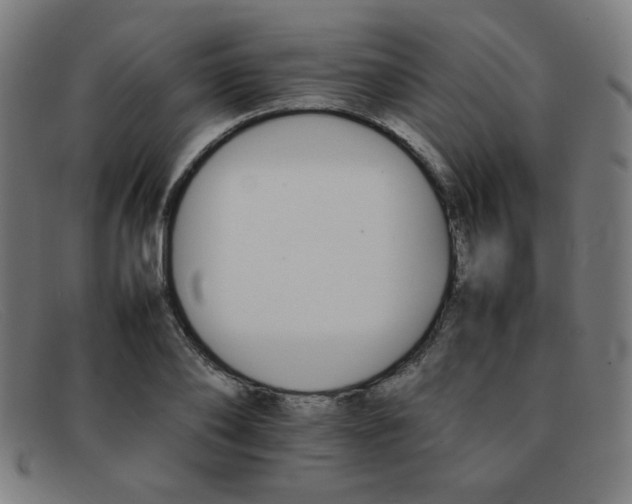 X0000092050886200709121210