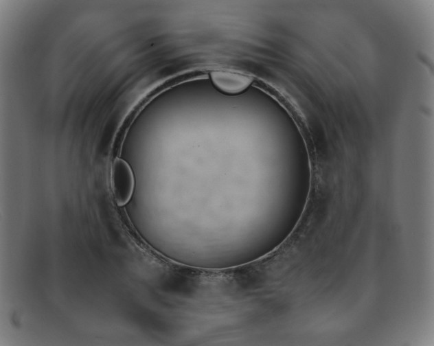 X0000092050887200709121210