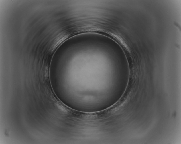 X0000092050889200709121210