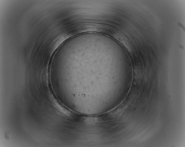 X0000092050890200709121210