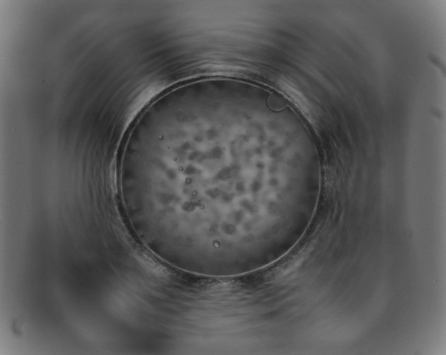 X0000092050891200709121210