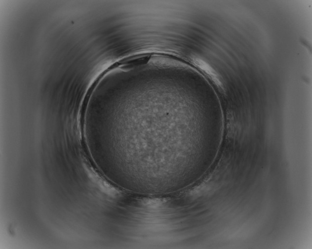 X0000092050892200709121210