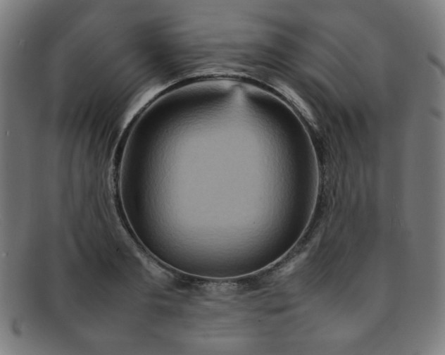 X0000092050893200709121210