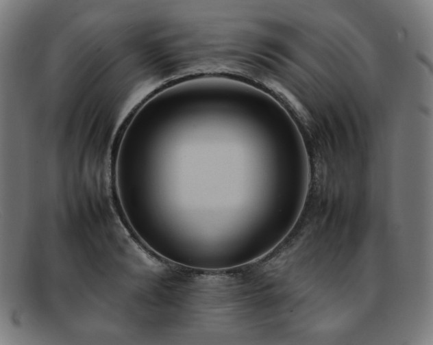 X0000092050894200709121210