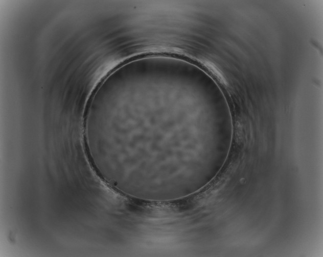 X0000092050895200709121210